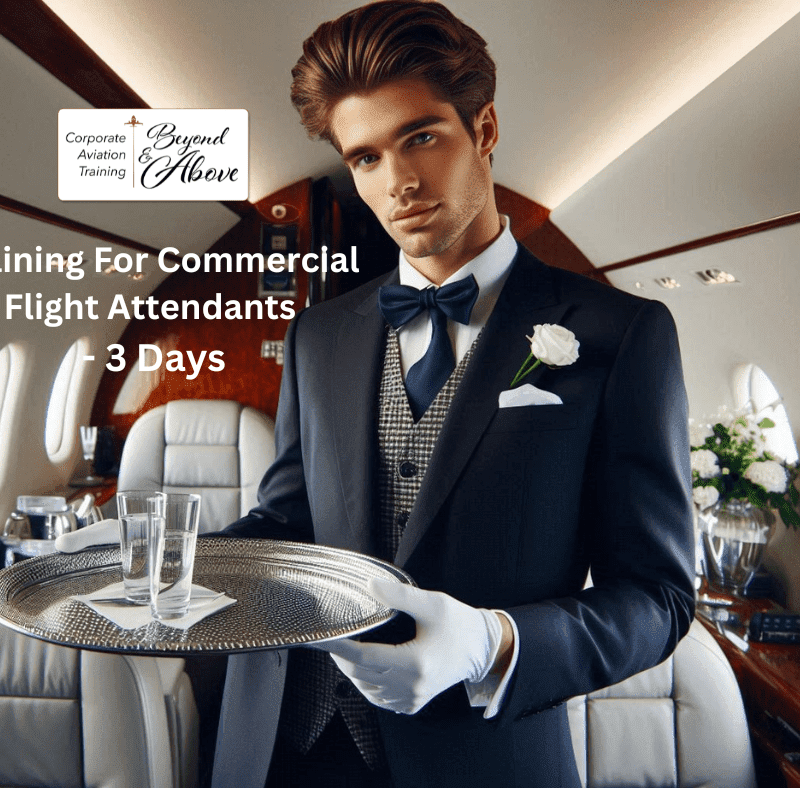 Corporate Training for Commercial Flight Attendants w FAA121 License