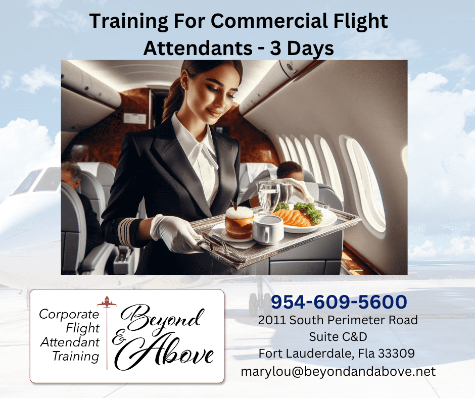 Corporate Training for Commercial Flight Attendants w FAA121 License